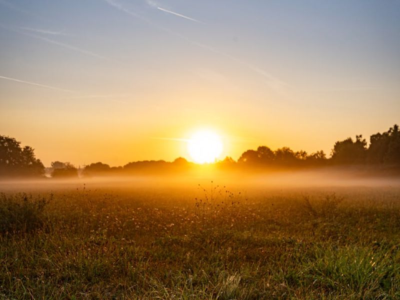 Serene natural landscape with soft morning light.